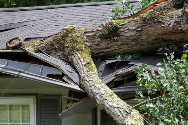 Storm Remediation in Carlisle