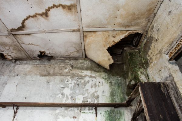 Water Damage Service in Carlisle