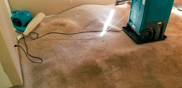 Flood Damage Cleanup in Carlisle