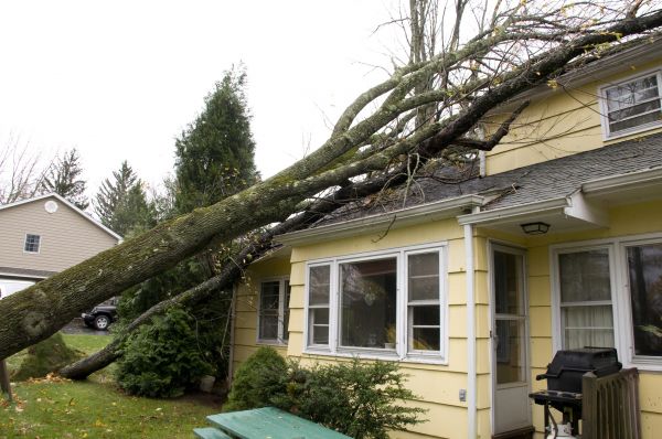 Hurricane Damage Repair in Carlisle
